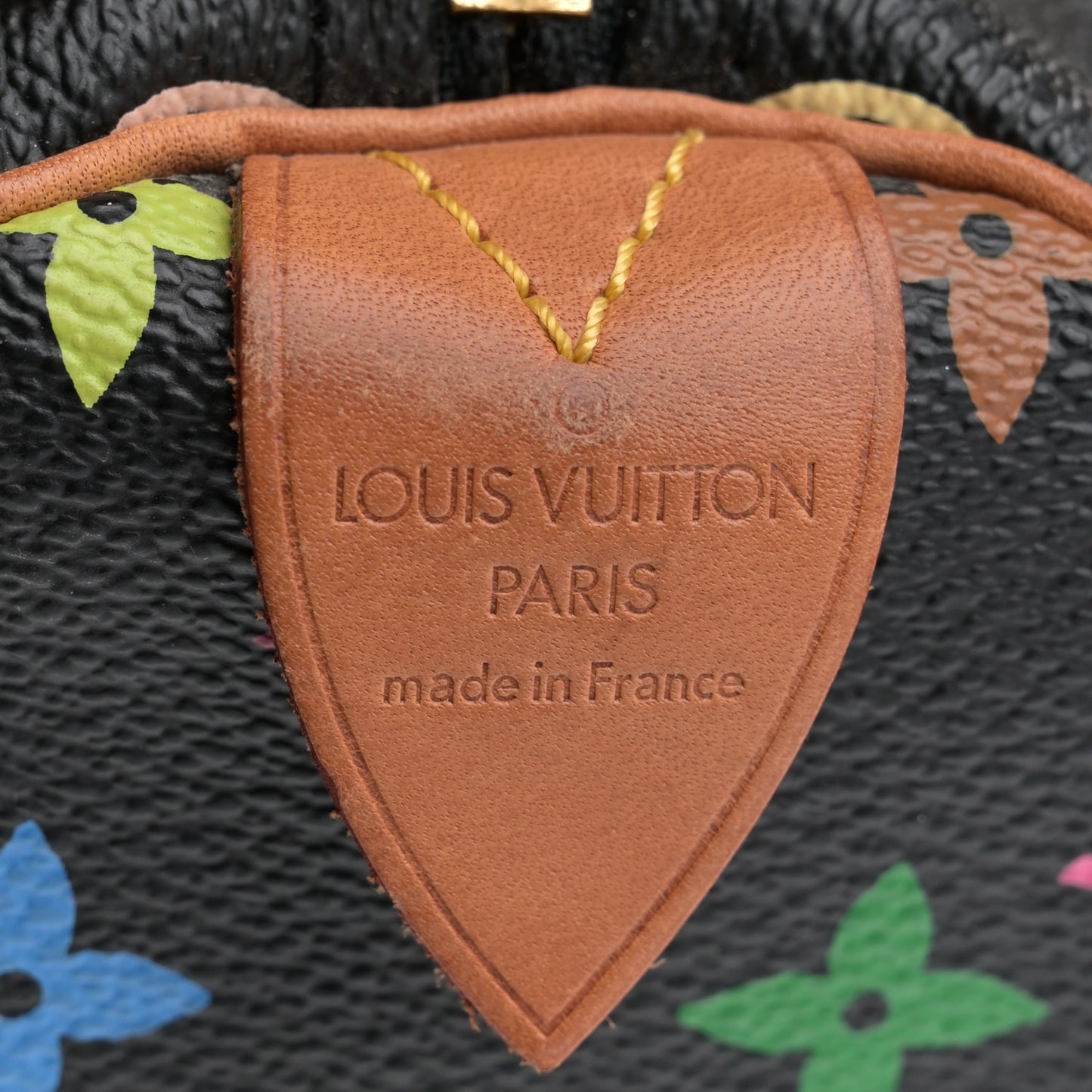 Monogram Multicolor Speedy 30 Black