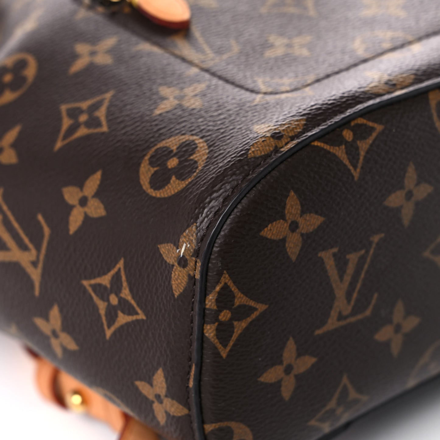 Monogram Montsouris NM Backpack