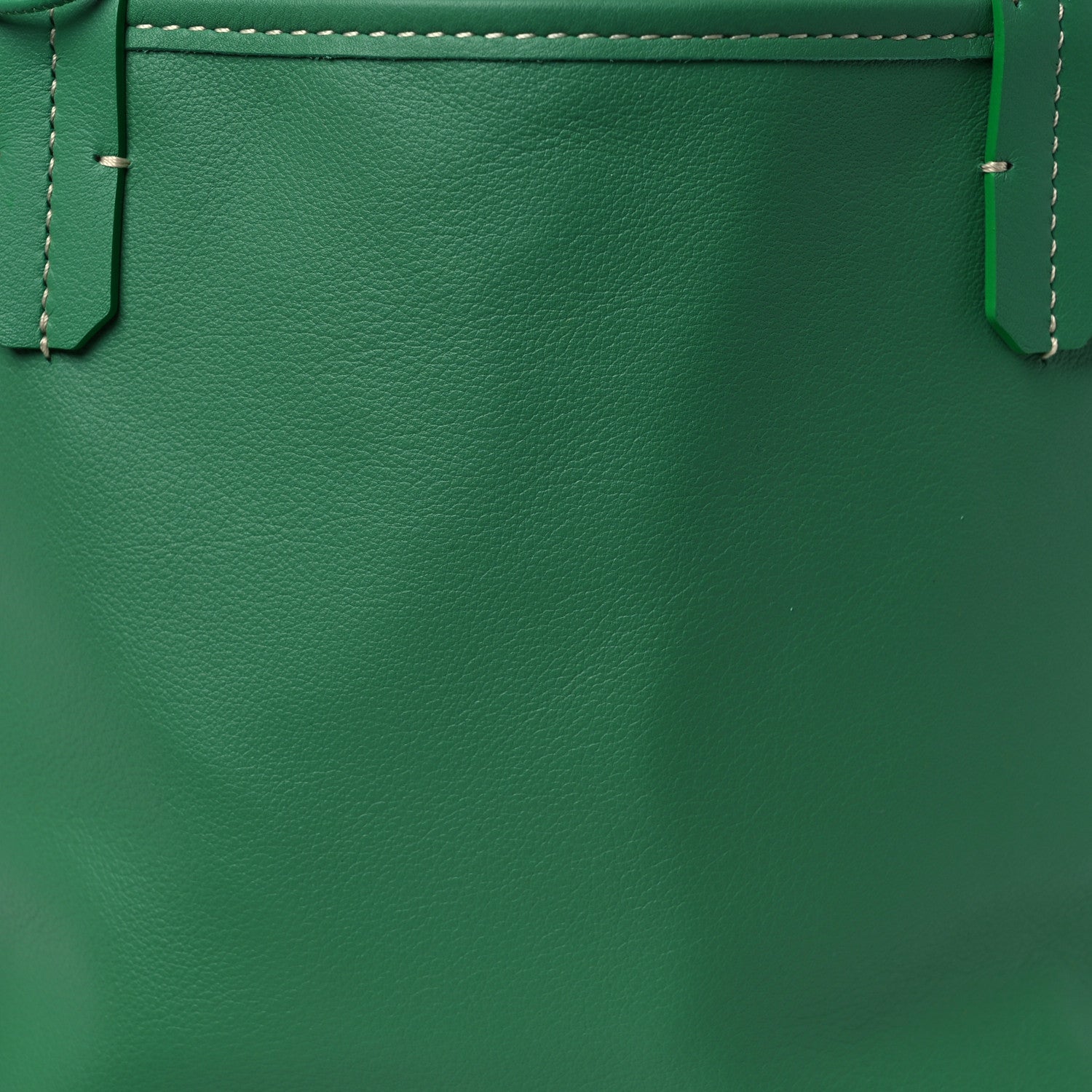 Goyard Goyardine Reversible Mini Anjou Meadow Green 14 of 18