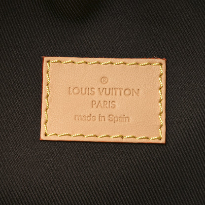Louis Vuitton X TYLER THE CREATOR Monogram Craggy Rush Bumbag 6 of 9