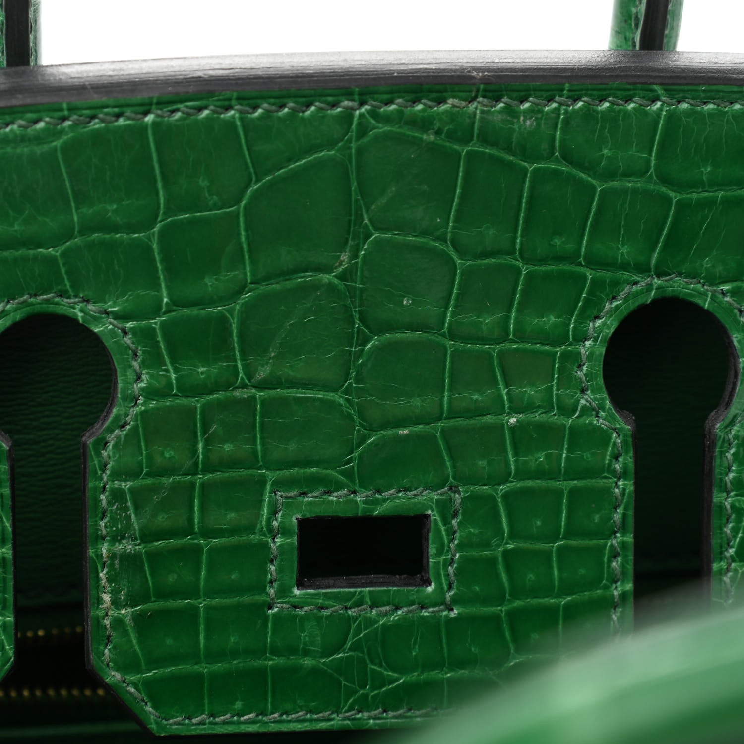 Hermes Shiny Niloticus Crocodile Birkin 25 Cactus 12 of 14
