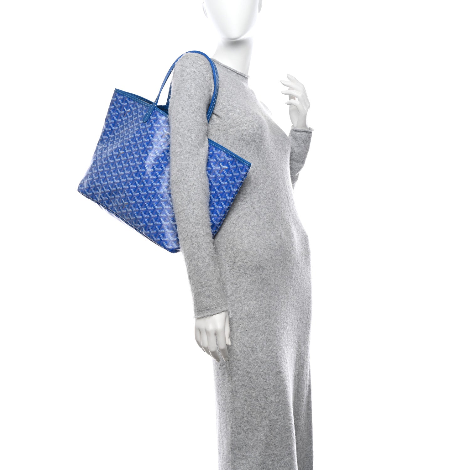 Goyard Goyardine Saint Louis PM Sky Blue 1 of 11
