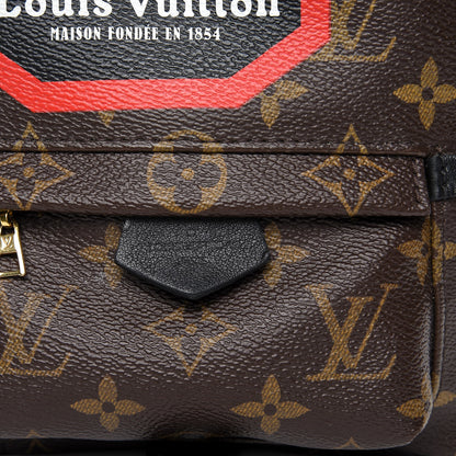 Louis Vuitton Monogram World Tour Palm Springs Backpack Mini 9 of 10