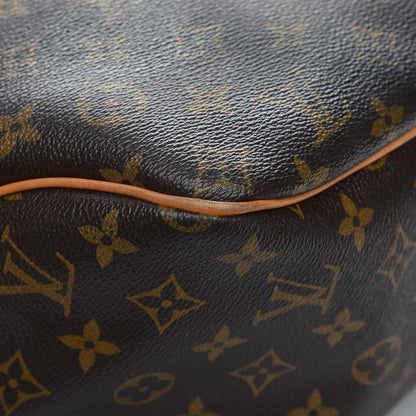Louis Vuitton Monogram Delightful GM 11 of 13