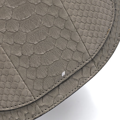 Chloe Python Small Nile Bracelet Bag Motty Grey 13 of 13