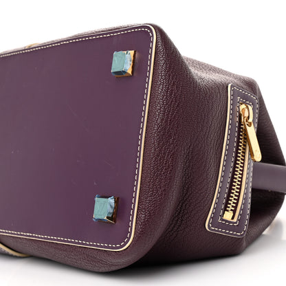 Louis Vuitton Suhali l'ingenieux PM Prune 10 of 13