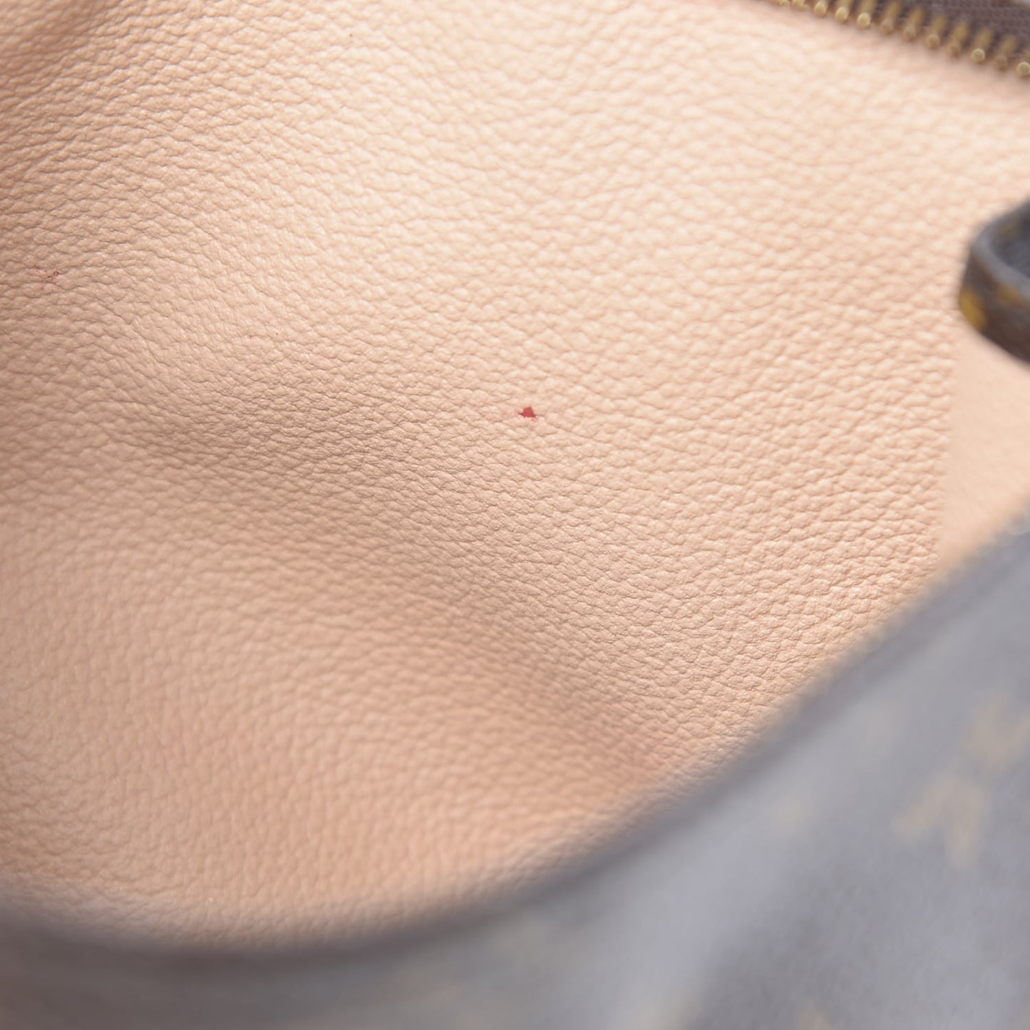 Monogram Toiletry Pouch 19