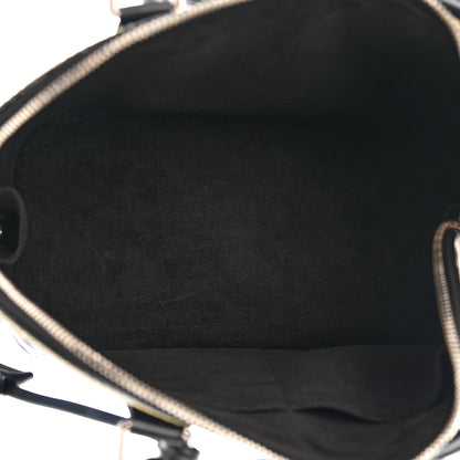 Louis Vuitton Epi Azteque Alma PM Denim Light 5 of 19