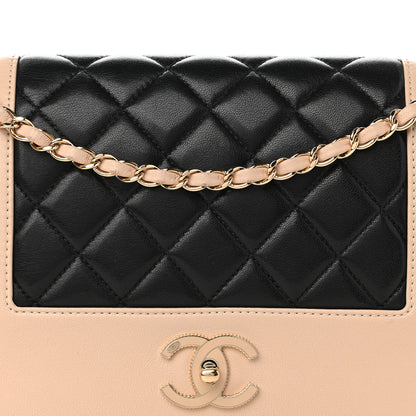 Chanel Sheepskin Quilted Vintage Mademoiselle Flap Beige Black 8 of 10