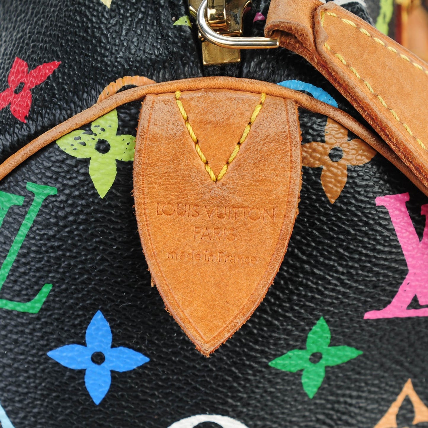 Monogram Multicolor Speedy 30 Black