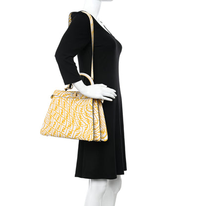 Fendi X SARAH COLEMAN Vitello Liberty Shiny Nappa Plexiglass FF Vertigo Medium Peekaboo I SEE U Satchel Mimosa White 2 of 9
