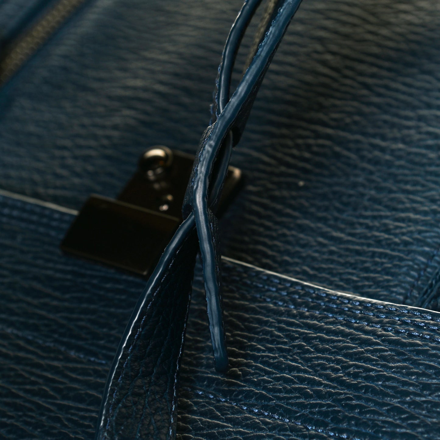 Textured Calfskin Pashli Backpack Navy