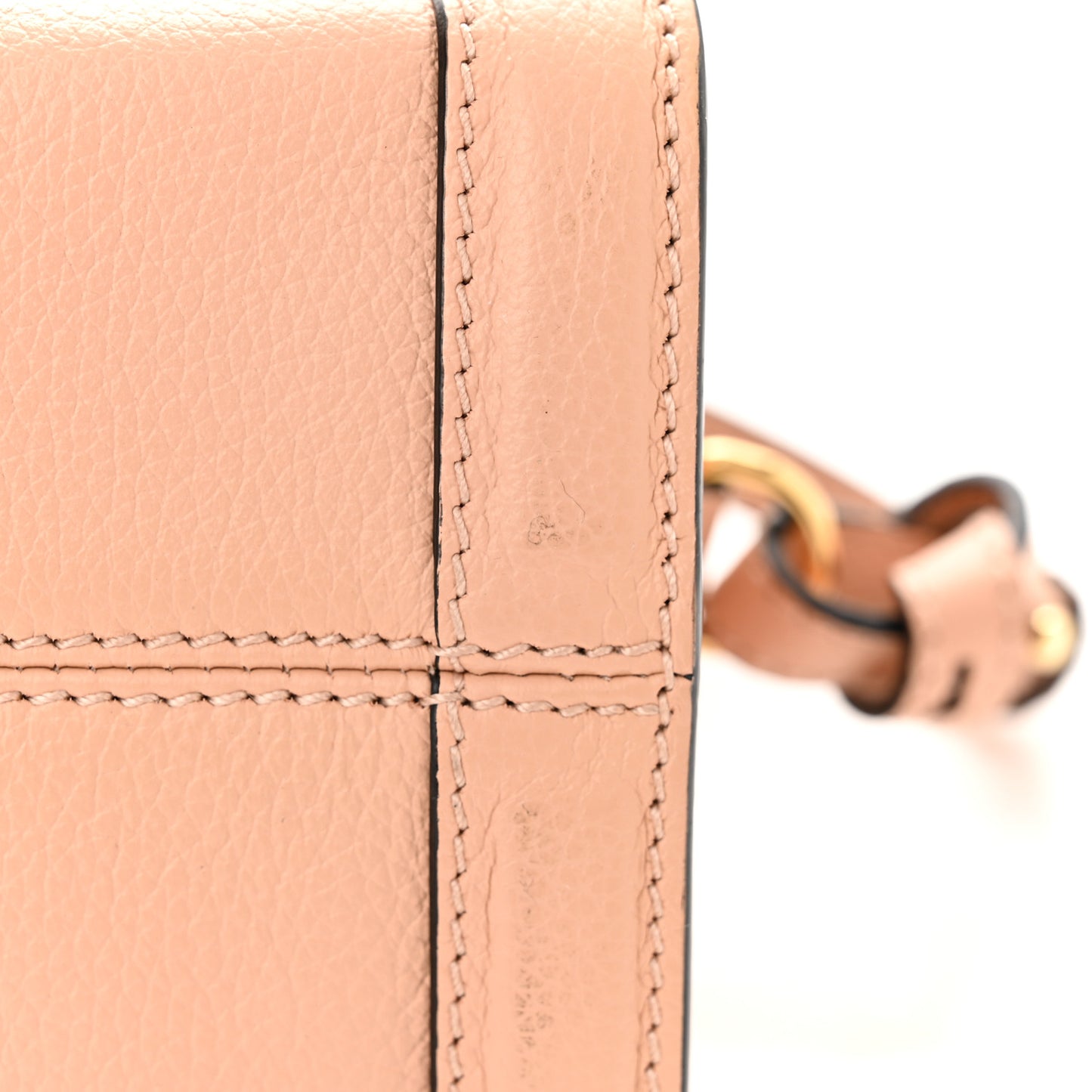 Pebbled Calfskin Mini Skull Padlock Zip Around Tote Boudoir