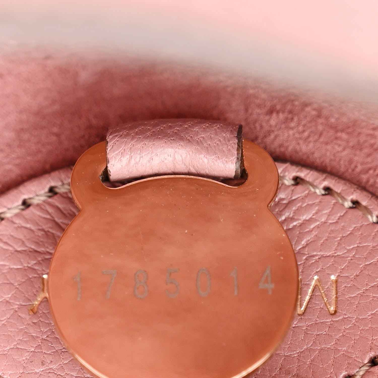 Mulberry Calfskin Goat Medium Lily Flap Dark Blush 8 of 14