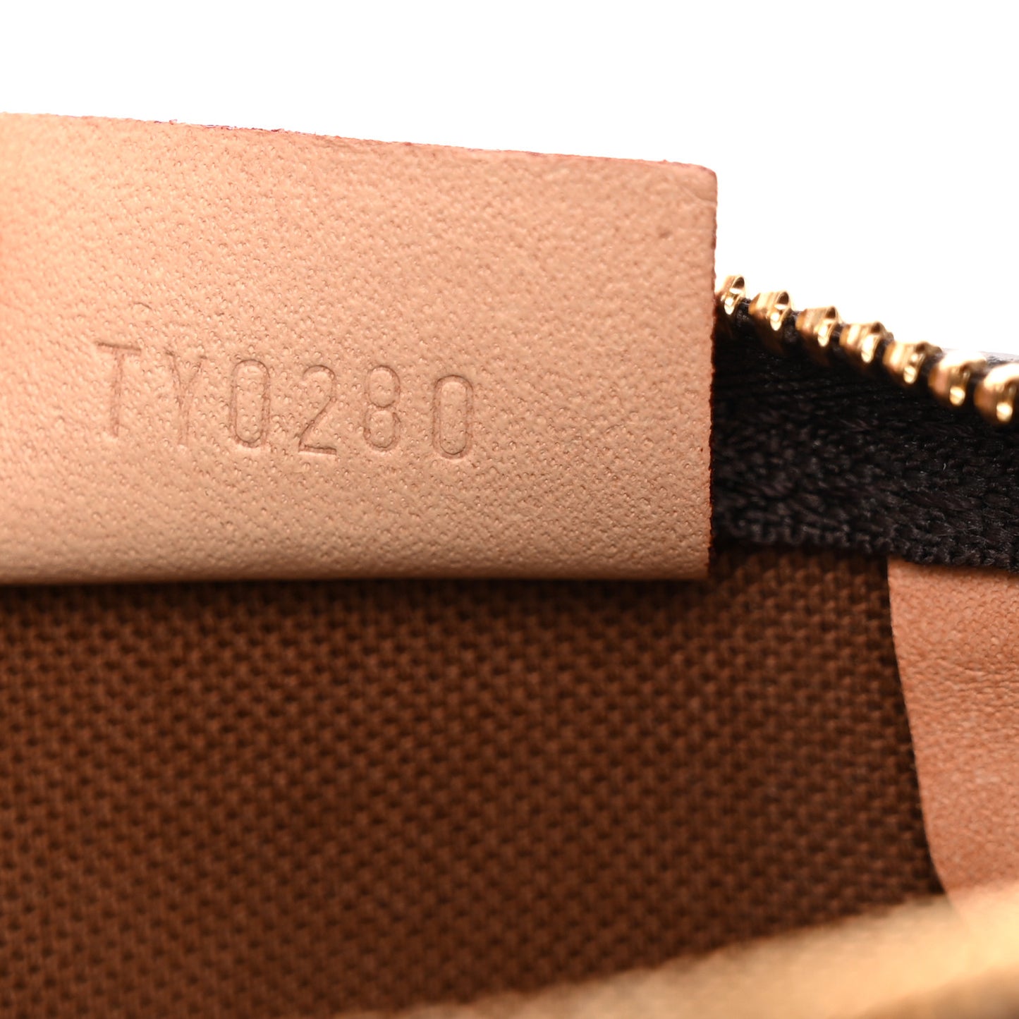 Monogram Nano Speedy