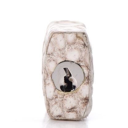 Hermes Matte Niloticus Crocodile Himalaya Birkin 30 Blanc 28 of 49