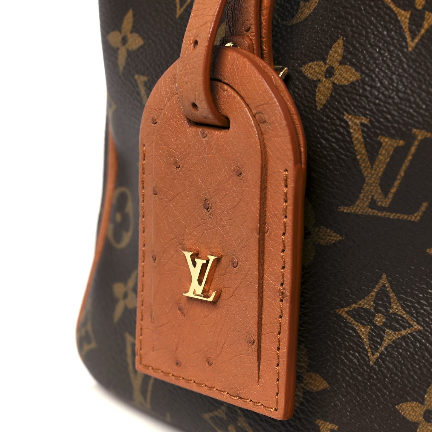Monogram Speedy Soft 30 Boho