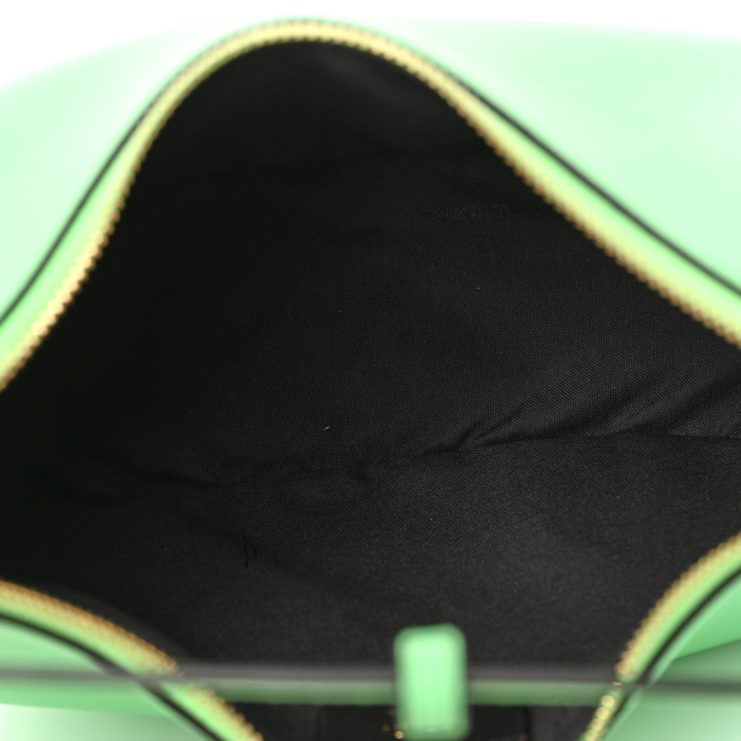 Vitello Grace Matte Small Fendigraphy Hobo Bag Edamame