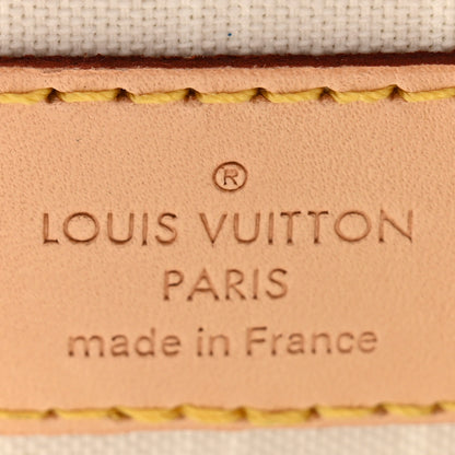 Louis Vuitton Monogram Giant By The Pool Multi Pochette Accessories Brume 6 of 11