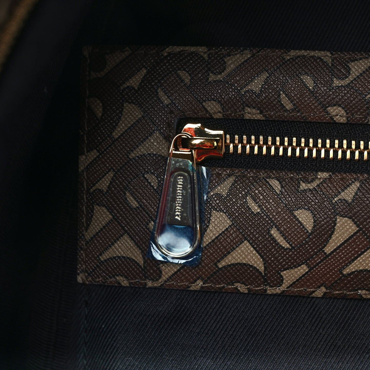 E-Canvas Monogram Stripe Backpack Bridle Brown