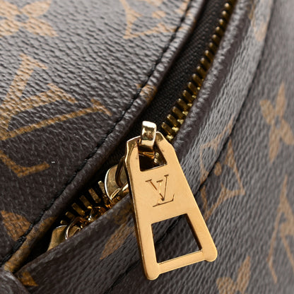 Louis Vuitton Monogram Palm Springs Backpack MM 13 of 16