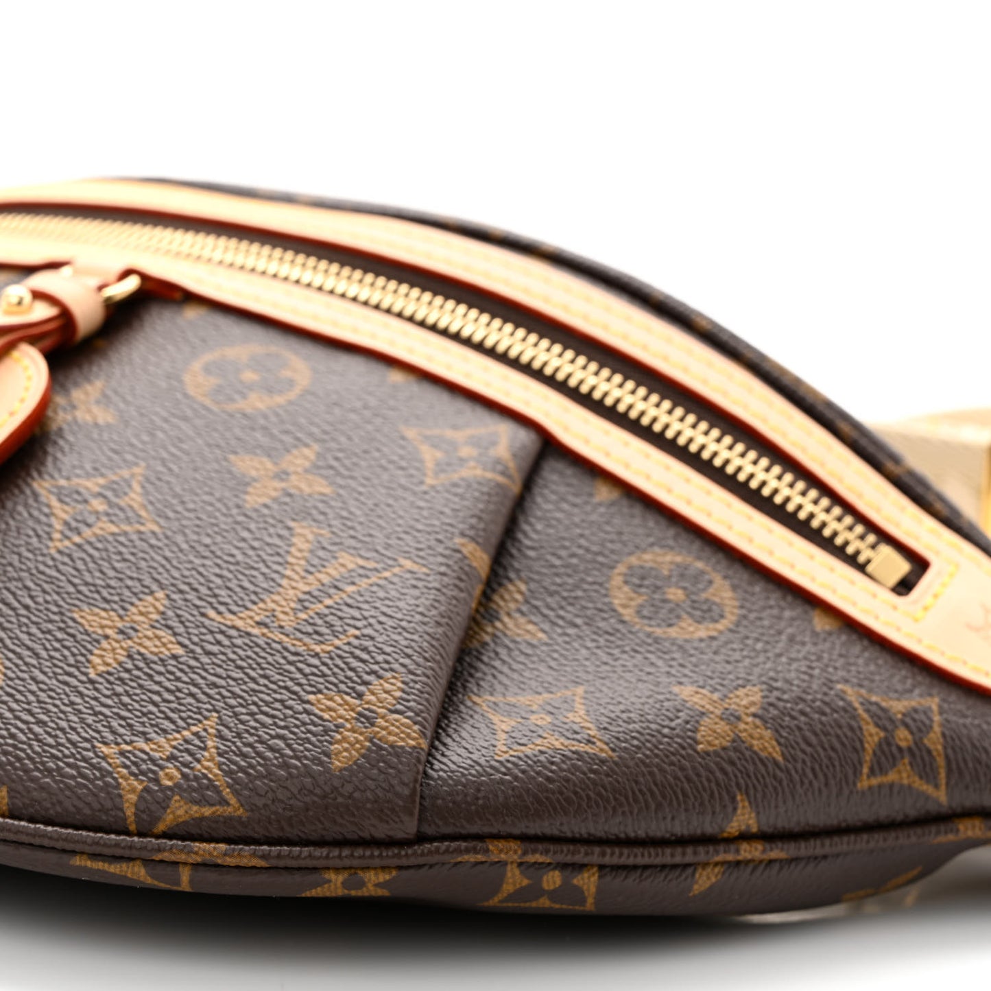 Monogram High Rise Bumbag