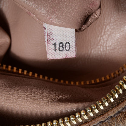 Prada Vitello Shine Hobo 7 of 10