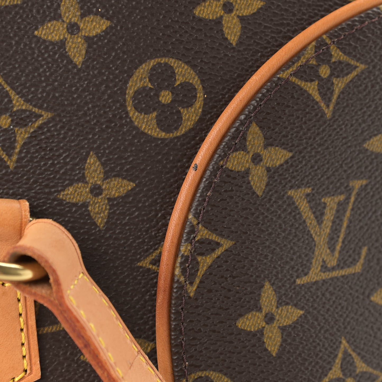 Monogram Ellipse GM Shopping Bag