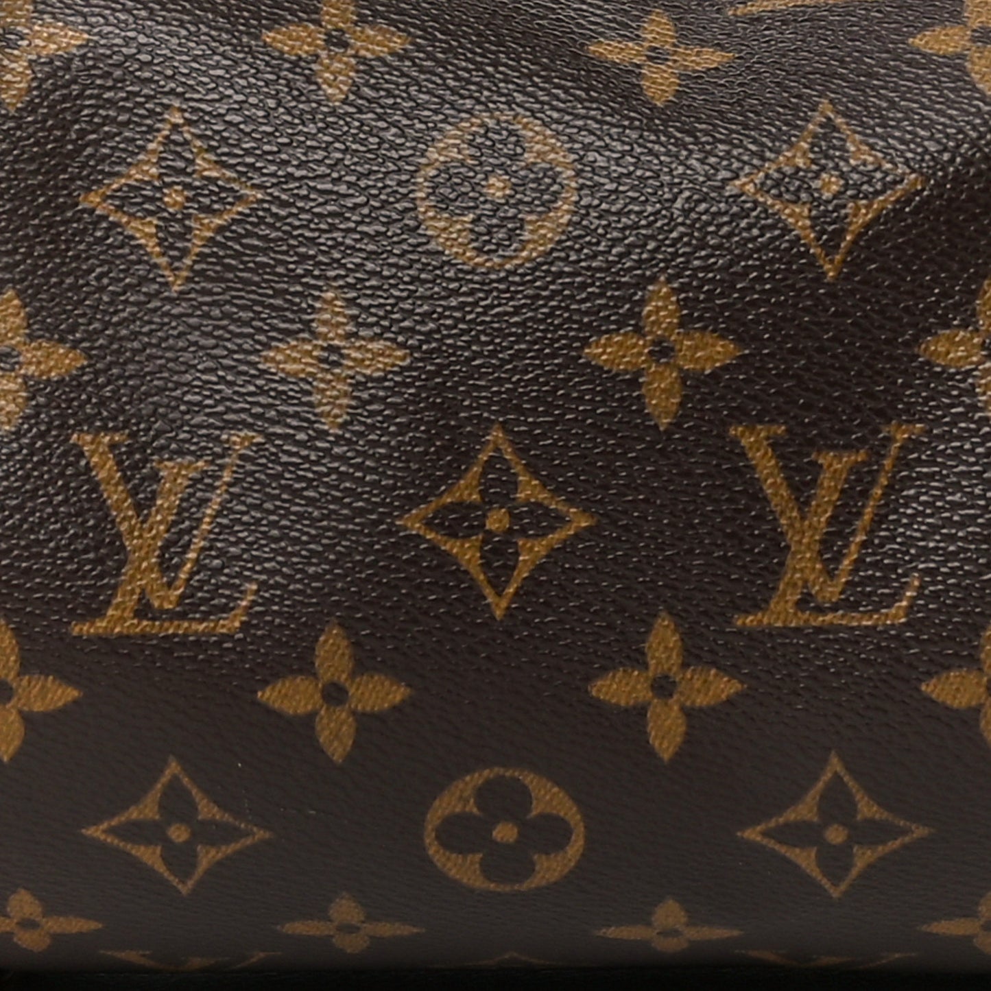 Monogram Papillon 30