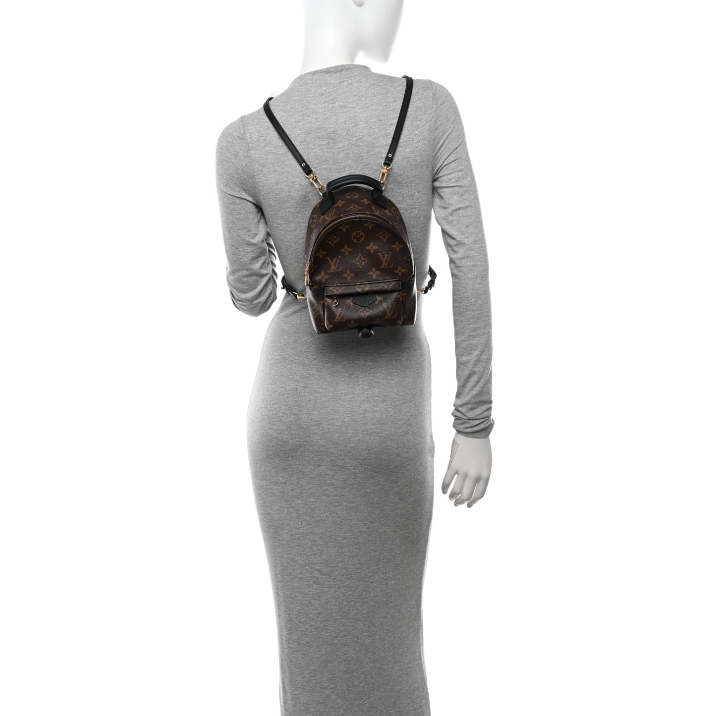 Monogram Palm Springs Backpack Mini