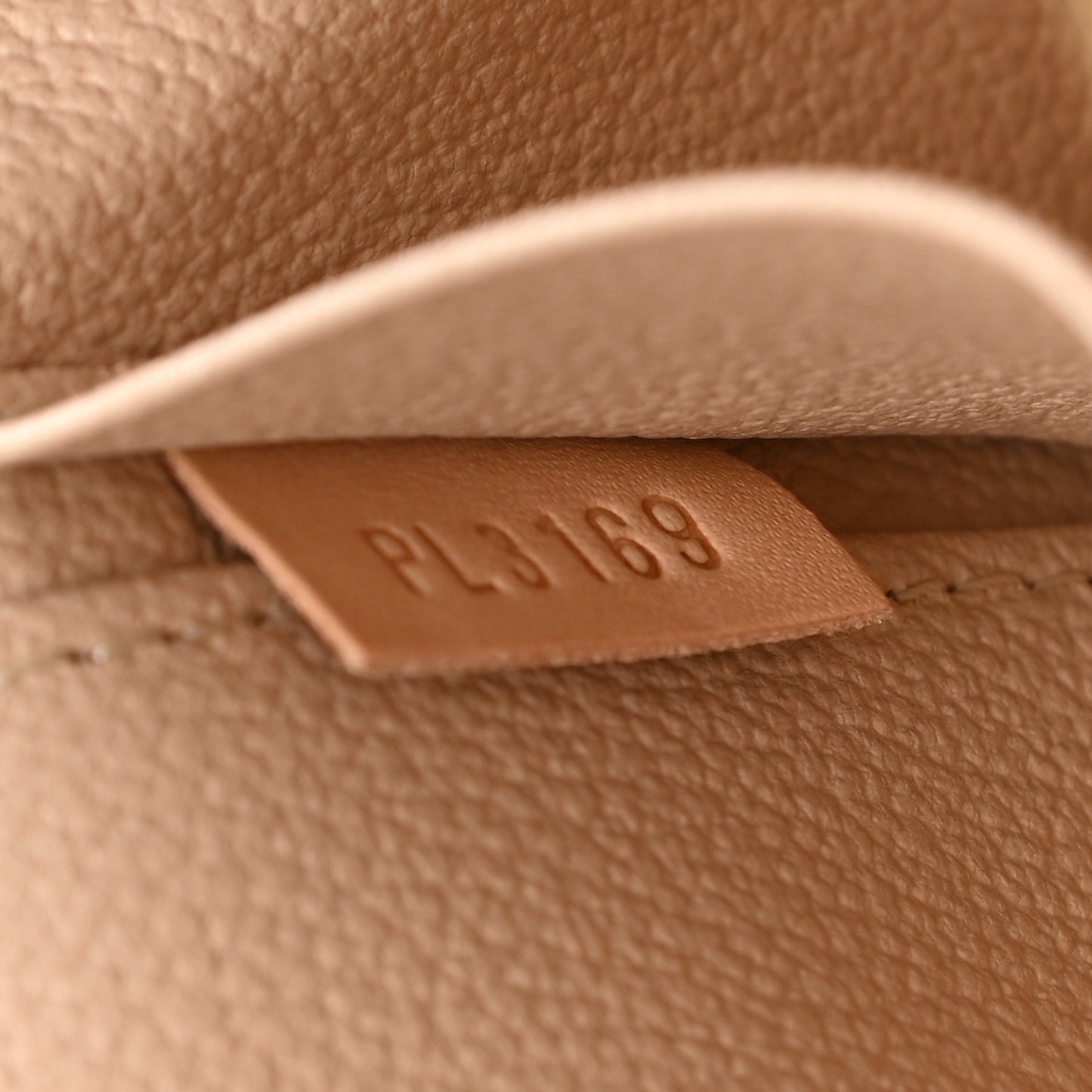 Monogram Nice Mini