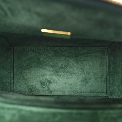 Celine Grained Calfskin Micro Belt Bag Amazone 5 of 15