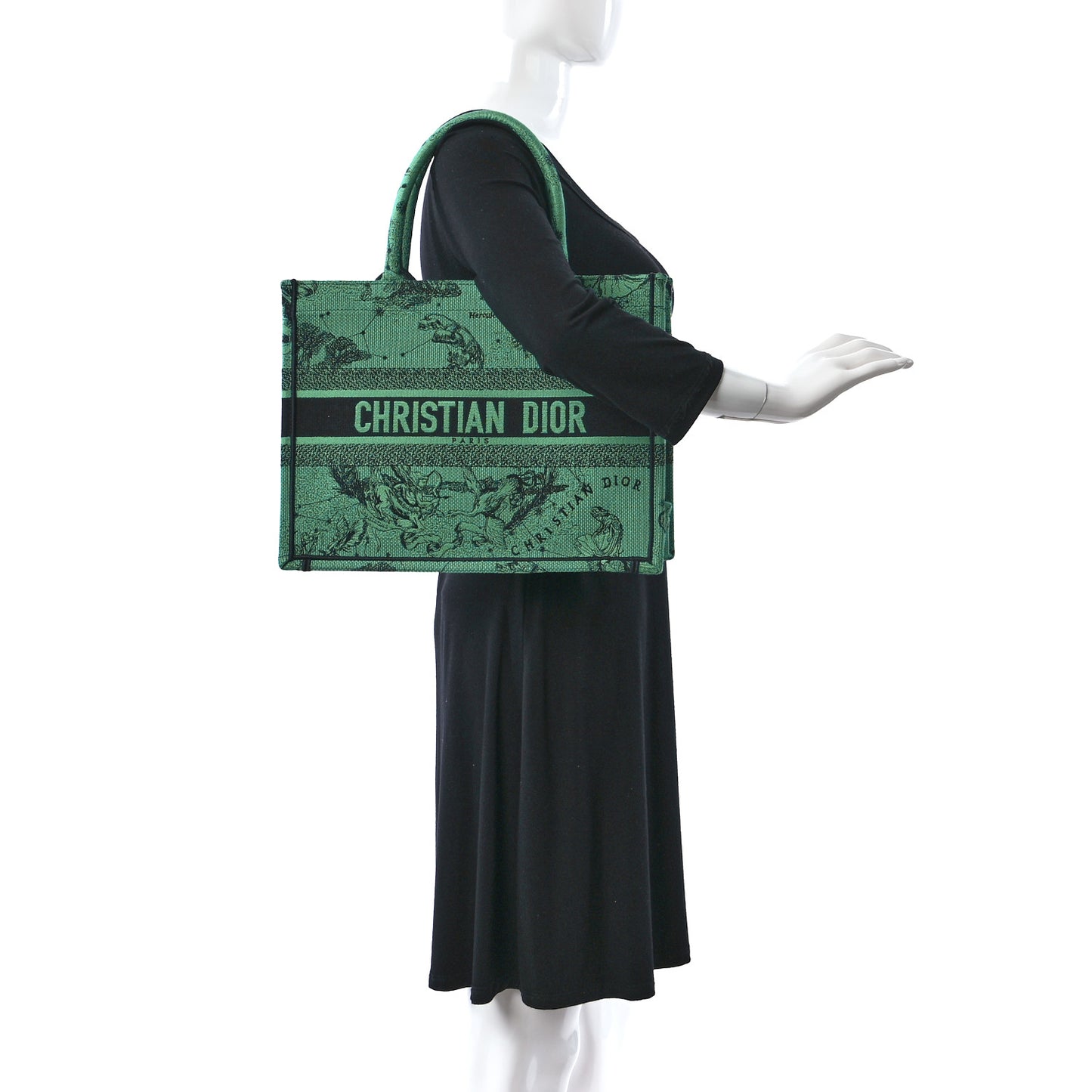 Canvas Embroidered Medium Zodiac Toile De Jouy Book Tote Green