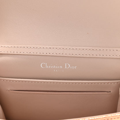 Christian Dior Ceramic Effect Deerskin Baby Diorama Flap Bag Gold 6 of 10