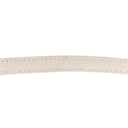 Hermes Chevre Mysore Mini Kelly Sellier 20 Mushroom 11 of 14