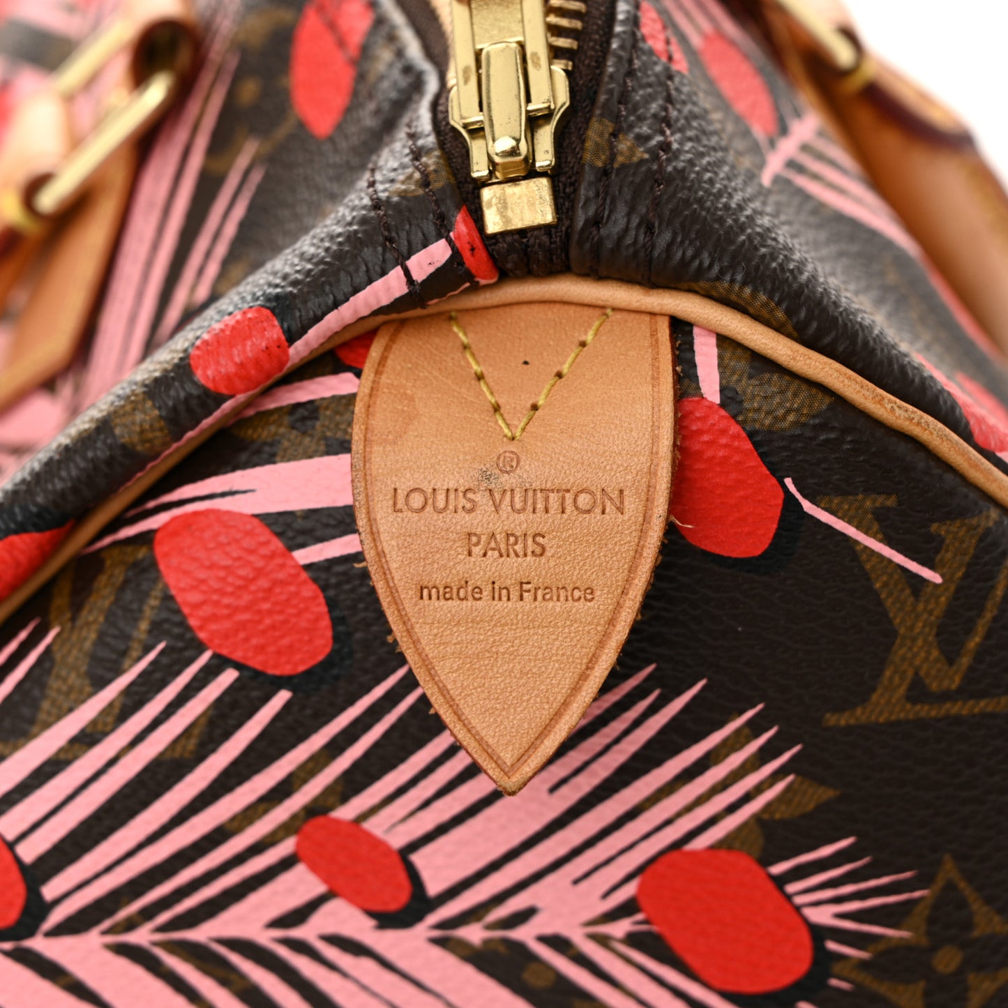 Monogram Jungle Dots Speedy 30 Sugar Pink Poppy