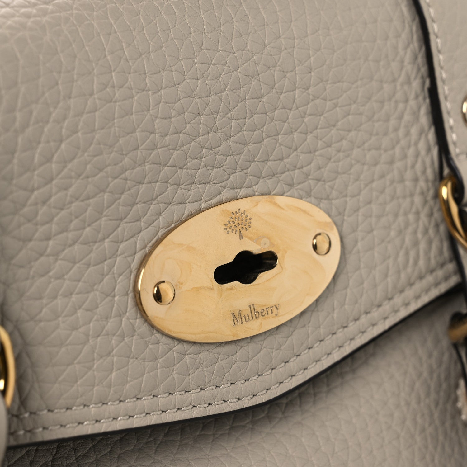 Mulberry Heavy Grain Mini Alexa Chalk 12 of 15
