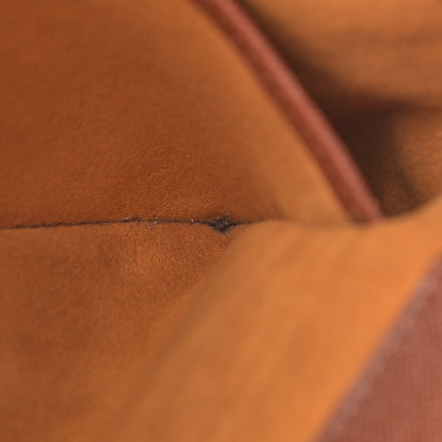 Monogram Musette Tango