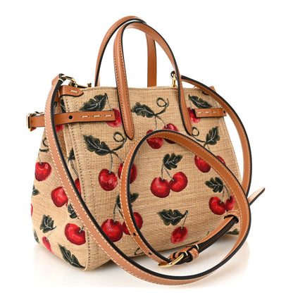 Valentino Garavani Jacquard Raffia Cherrfic Small Vlogo Antibes Shopping Bag Natural Red 3 of 9