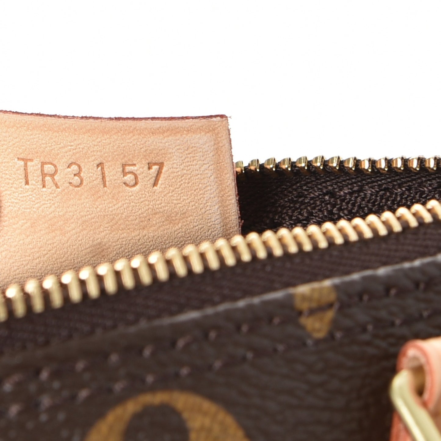 Monogram Nano Speedy
