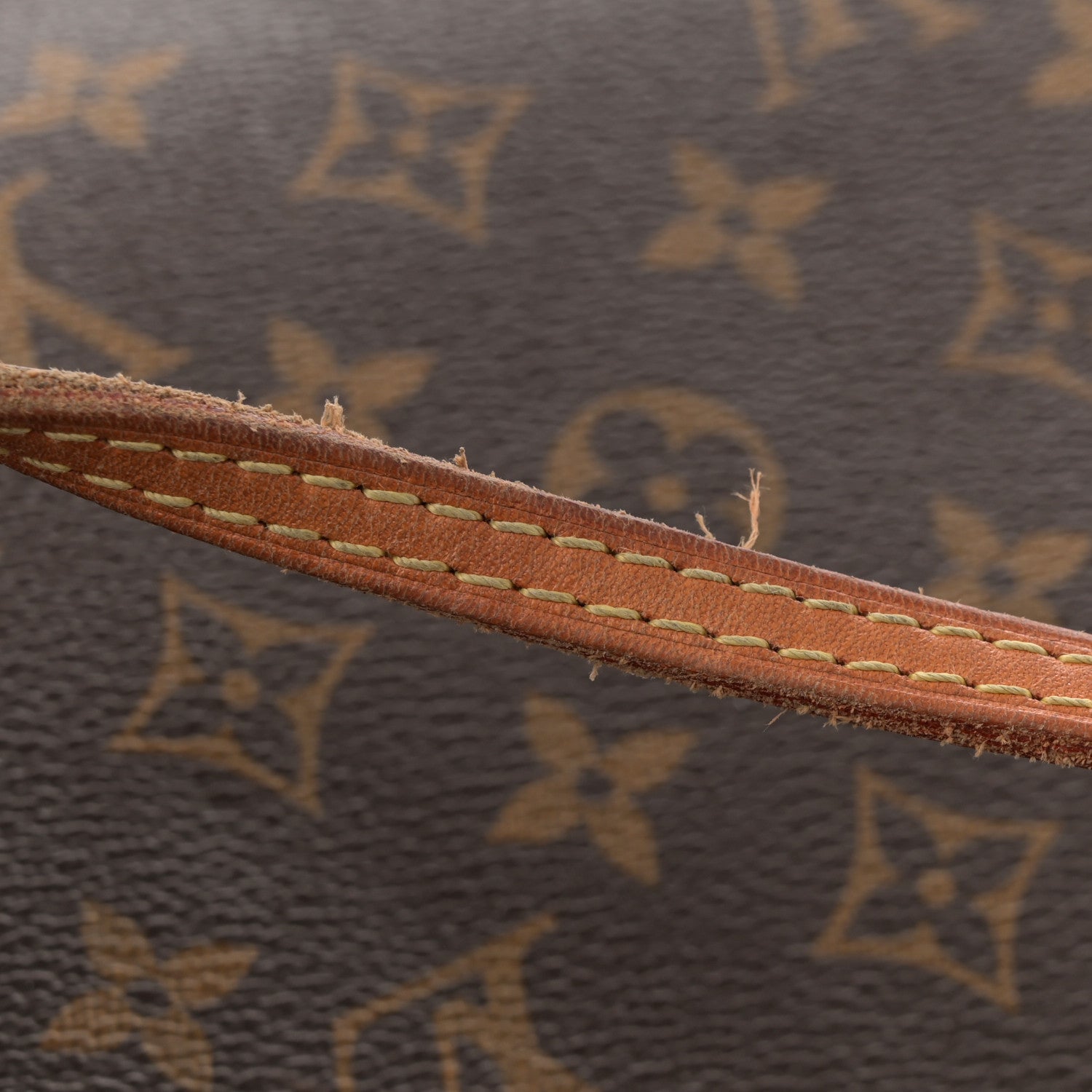 Louis Vuitton Monogram Neo Neverfull GM Pivoine 13 of 13