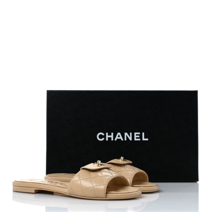 Chanel Lambskin Quilted CC Turnlock Sandals 35.5 Beige 10 of 10