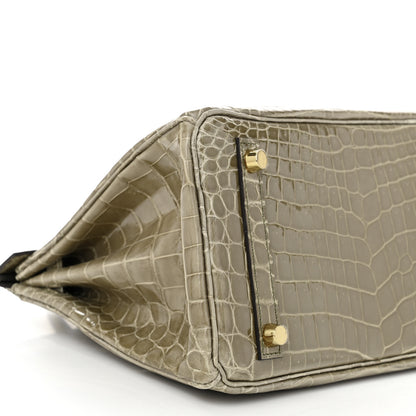 Hermes Shiny Niloticus Crocodile Birkin 25 Gris Tourterelle 9 of 11