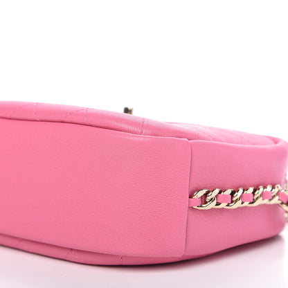 Chanel Goatskin Quilted Medium Casual Trip Camera Case Pink 7 of 9