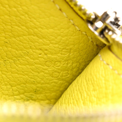 Hermes Chevre Mysore Tutti Frutti Citron Clutch Lime 5 of 5