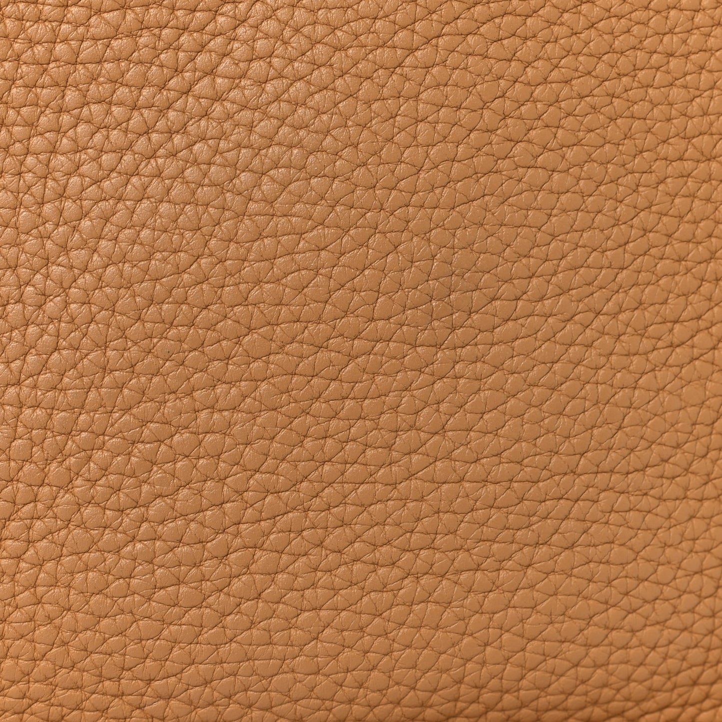 Taurillon Clemence Evelyne TPM Biscuit