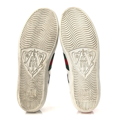 Gucci Calfskin Ayers Web Star Embroidered Womens Ace Sneakers 37 White Multi 7 of 17