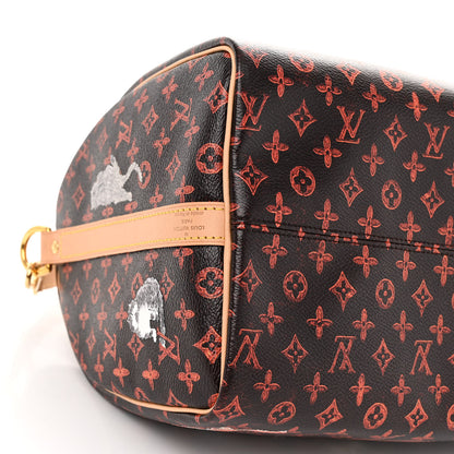 Louis Vuitton LOUIS VUITTON Catogram Speedy Bandouliere 30 Marron 9 of 10