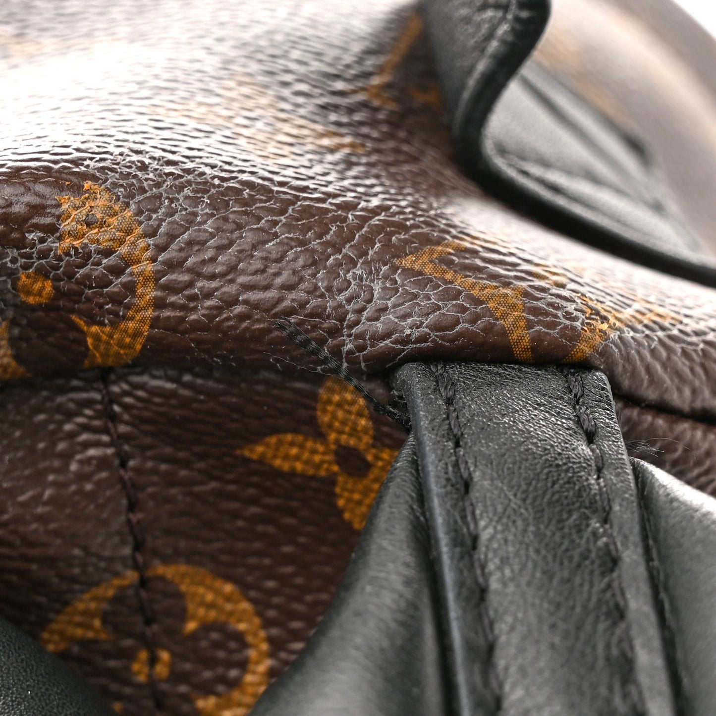 Monogram Palm Springs Backpack PM