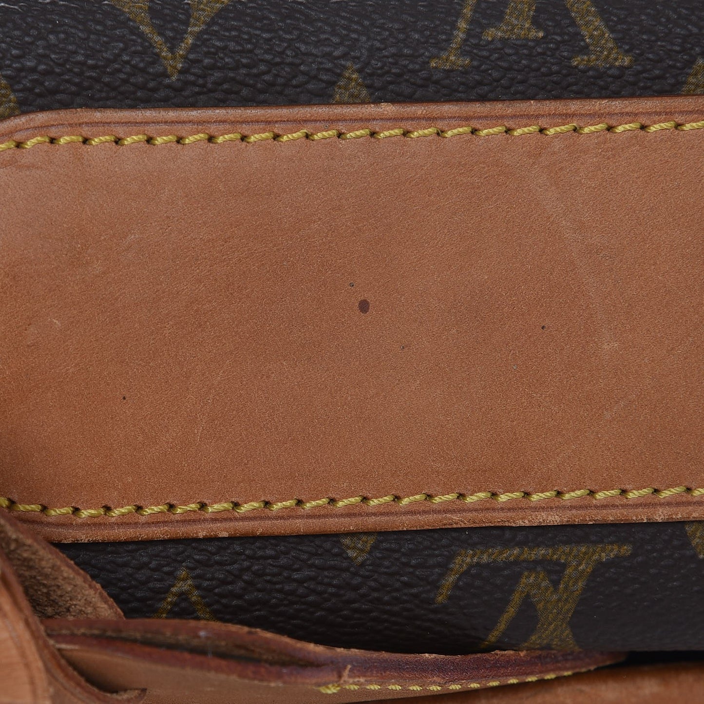 Monogram Garment Bag